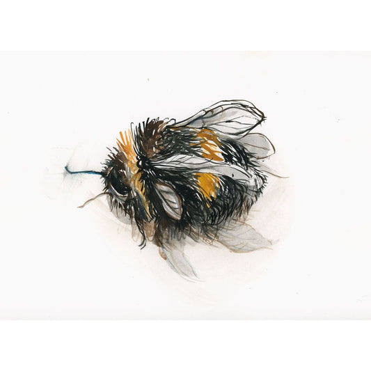 Deceased Bumble Bee in Colour