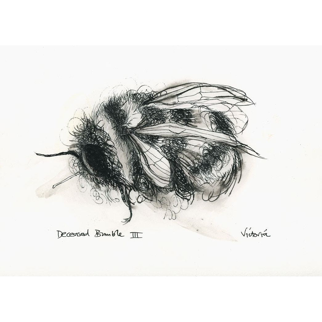 Deceased Bee