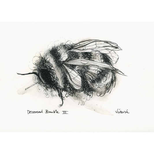Deceased Bee