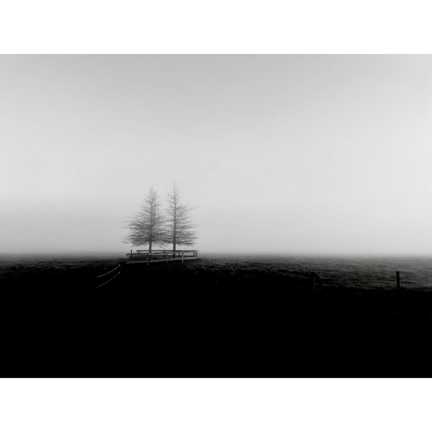 Morning Mist