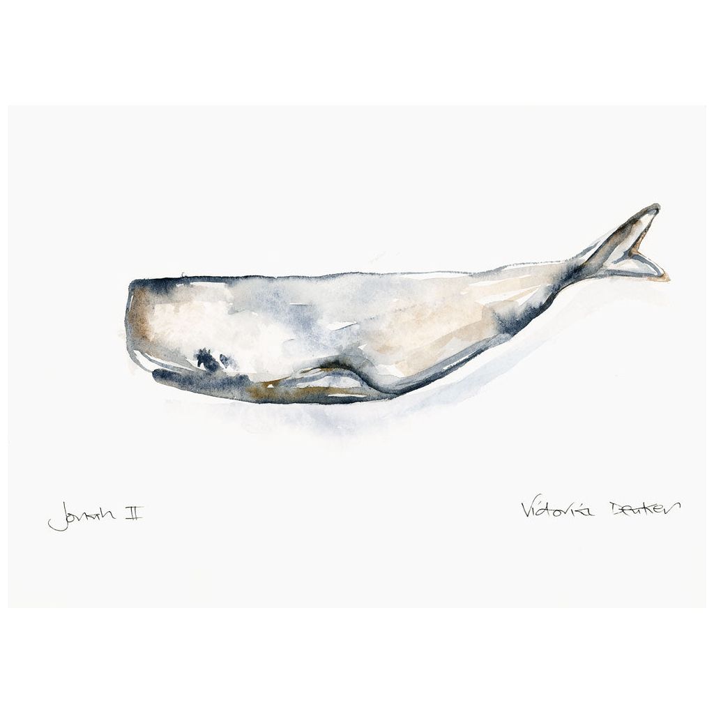 Jonah ll - A Whale Story