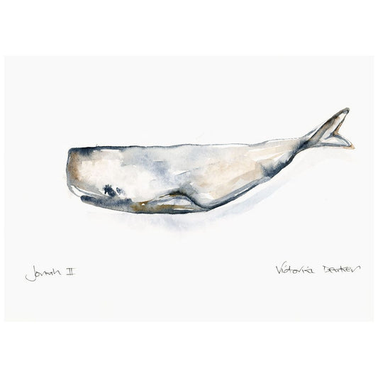 Jonah ll - A Whale Story