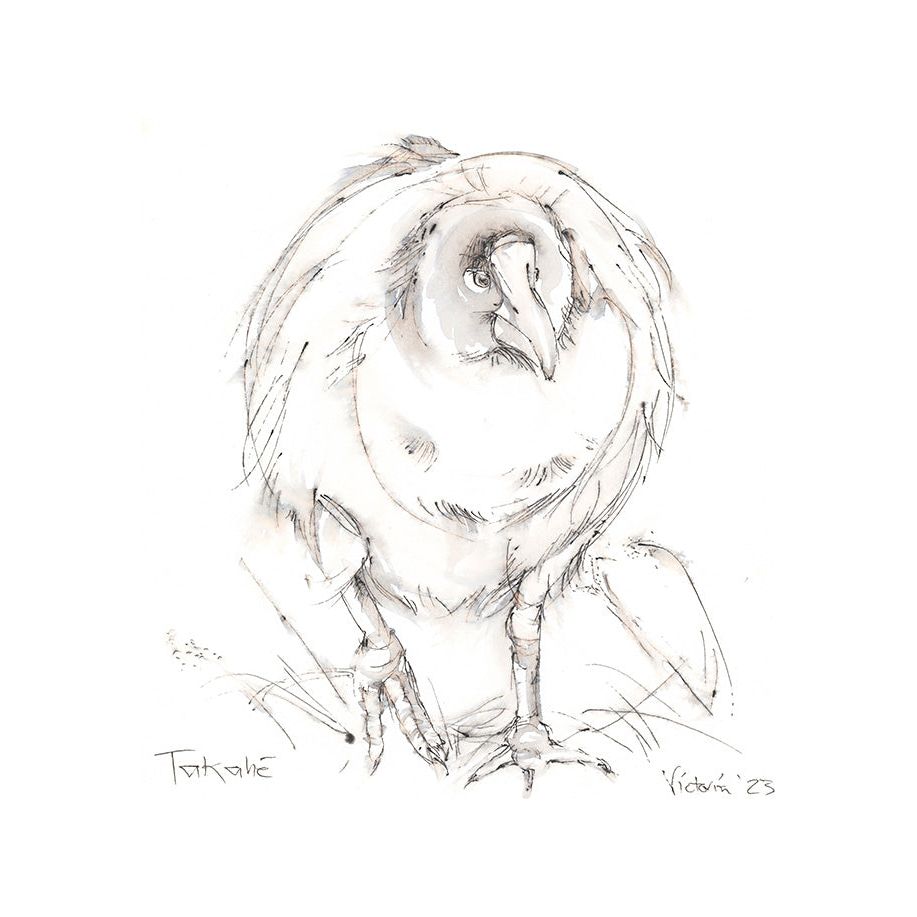 Takahe Print